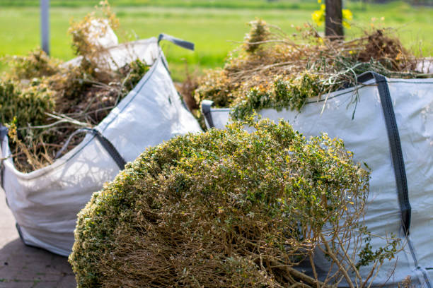 Best Yard Cleanup Services  in Salem, IN